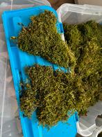 Mos / platmos, grote hoeveelheid, Ophalen, Zo goed als nieuw, Materiaal