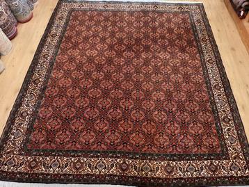 Vintage handgeknoopt perzisch tapijt bidjar 257x203