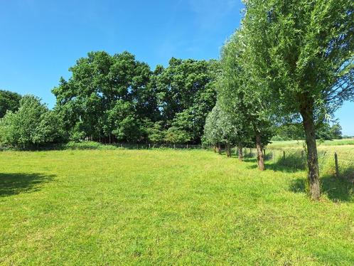 Doe-het-zelf plek voor 1 shet of a-pony in Oud Gastel, Dieren en Toebehoren, Stalling en Weidegang, Stalling, Weidegang, 1 paard of pony