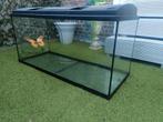 Juwel 180 Liter Aquarium zwart, Dieren en Toebehoren, Ophalen of Verzenden, Zo goed als nieuw, Leeg aquarium