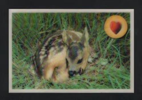 Ree Reekalf Capreolus Capreolus 3D Kaart., Verzamelen, Ansichtkaarten | Dieren, Ongelopen, 1980 tot heden, Wild dier, Ophalen of Verzenden