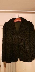 Persianer bontjas maat 40., Kleding | Dames, Jassen | Winter, Maat 38/40 (M), Zwart, Ophalen of Verzenden, Zo goed als nieuw