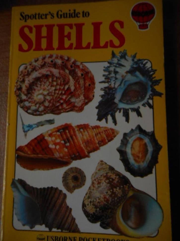schelpenboek: Spotters's guide to shells, Boeken, Overige Boeken, Gelezen, Verzenden