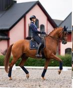 Equestrian Stockholm Royal blue full Dressage met bandages, Dieren en Toebehoren, Paarden en Pony's | Dekens en Dekjes, Gebruikt