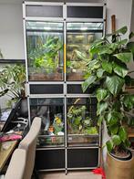 Terrarium stelling, met lampen en sproeisysteem, Ophalen, Zo goed als nieuw, Terrarium of Paludarium