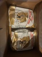 Royal canin french bulldog, Dieren en Toebehoren, Ophalen, Hond