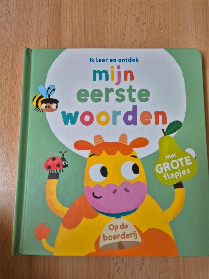 Mijn Eerste Woorden - Leerzaam Boekje, Boeken, Kinderboeken | Baby's en Peuters, Zo goed als nieuw, 1 tot 2 jaar, Uitklap-, Voel- of Ontdekboek