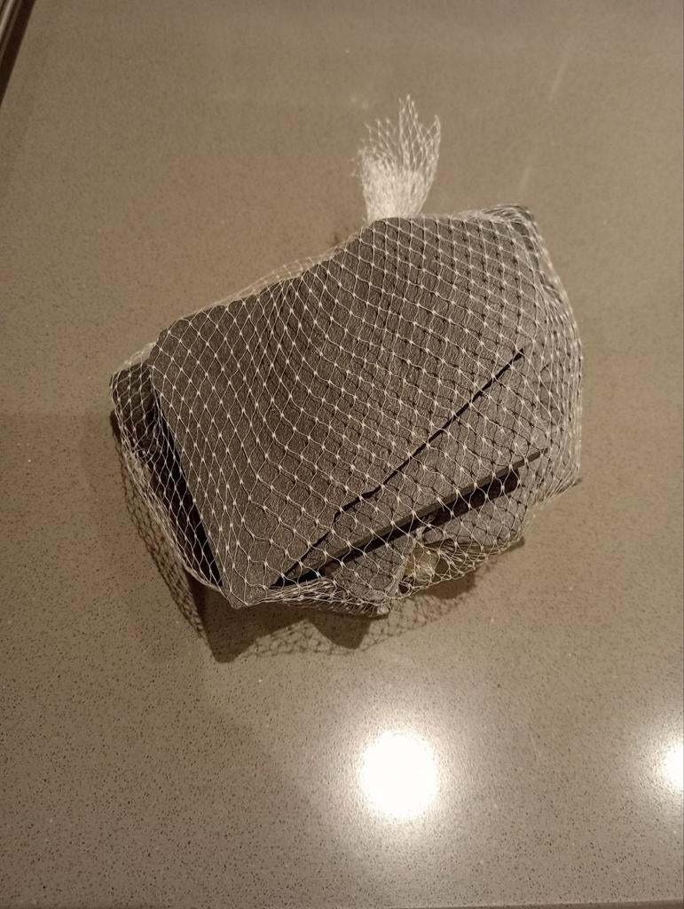 Leistenen, Dieren en Toebehoren, Vissen | Aquaria en Toebehoren, Ophalen of Verzenden, Zo goed als nieuw, Plant(en), Steen of Hout