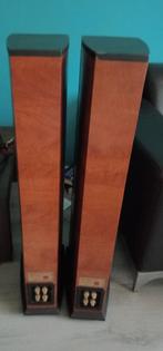 Dali speakers, Gebruikt, 120 watt of meer, Front, Rear of Stereo speakers, Ophalen