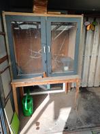 Vlinderkast, December, Mannelijk