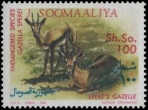 1992 Somalië Fauna Zoogdieren wwf, Postzegels en Munten, Postzegels | Thematische zegels, Postfris, Dier of Natuur, Ophalen of Verzenden