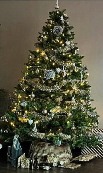 Kerstboom 205 hoog beschikbaar voor biedingen