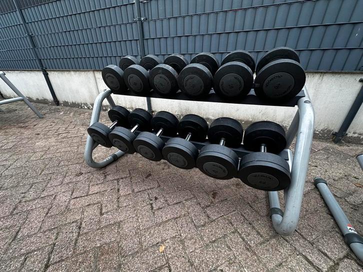 Technogym Dumbells 26kg t/m 42kg + Opbergrek, Sport en Fitness, Fitnessmaterialen, Gebruikt, Dumbbell, Ophalen