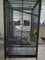 papegaaikooi, Ophalen, Gebruikt, Metaal, Vogelkooi