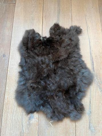 Konijnenvacht beschikbaar voor biedingen