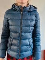 Tommy Hilfiger puffer jas, Meisje, Ophalen of Verzenden, Jas, Tommy Hilfiger