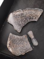 3 stukken gepolijst dinosaurus bot, Verzamelen, Mineralen en Fossielen, Ophalen of Verzenden, Mineraal