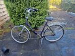 Gazelle Bloom Paars - Damesfiets // ALLEEN OPHALEN, Fietsen en Brommers, Gebruikt, Versnellingen, Ophalen of Verzenden, 50 tot 53 cm
