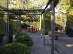 knooppunten, Tuin en Terras, Overkappingen, Ophalen