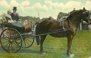 (300-016-033) Friesland beschikbaar voor biedingen