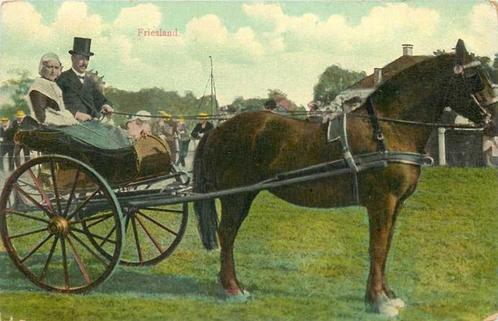 (300-016-033) Friesland, Verzamelen, Ansichtkaarten | Nederland, Friesland, Verzenden