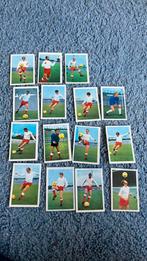 Fc Utrecht panini vanderhout 1970-1971, Ophalen of Verzenden, Gebruikt, Overige binnenlandse clubs