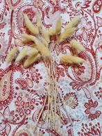 Droogbloemen voor in een klein vaasje, Ophalen of Verzenden