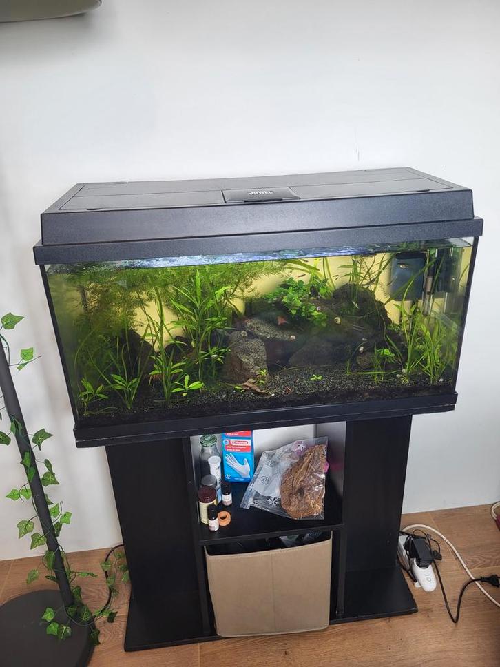 100 liter aquarium incl toebehoren, Dieren en Toebehoren, Vissen | Aquaria en Toebehoren, Zo goed als nieuw, Gevuld zoetwateraquarium