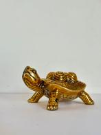 Brons gepolijsde schildpad kunst & Design Turtle art, Ophalen of Verzenden