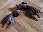 2  Wooden Fish Carvings Asian Statues, Ophalen of Verzenden