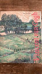 Vincent van Gogh tekeningen Rijksmuseum, Ophalen of Verzenden, Gelezen, Schilder- en Tekenkunst