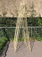 Bonenstokken staken plantondersteuning tonkin bamboe, Nieuw, Overige typen, 250 cm of meer, Ophalen of Verzenden