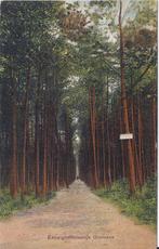 Ginneken Eeuwigheidslaantje Oude Gelopen Ansichtkaart P802, Verzamelen, Ansichtkaarten | Nederland, Ophalen of Verzenden, 1960 tot 1980