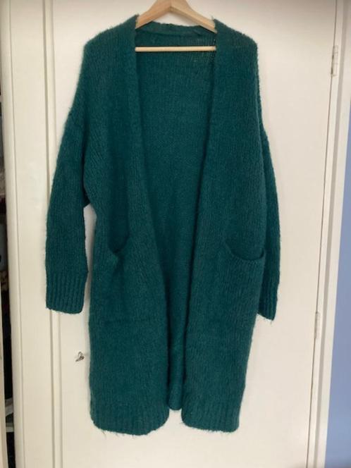 Prachtige kleur groen lang vest met wol, Kleding | Dames, Truien en Vesten, Zo goed als nieuw, Maat 42/44 (L), Groen, Ophalen of Verzenden