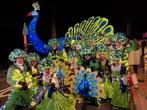 Pauwen Loopgroep, wagen, kostuums, licht,2 electische  steps, Ophalen, Gebruikt, Carnaval