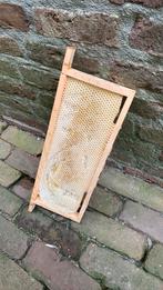 Wasmotten, Dieren en Toebehoren, Bijen