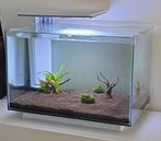 Aquarium SuperFish quadro 70 pro met rondomatic 400, Ophalen, Zo goed als nieuw, Leeg aquarium