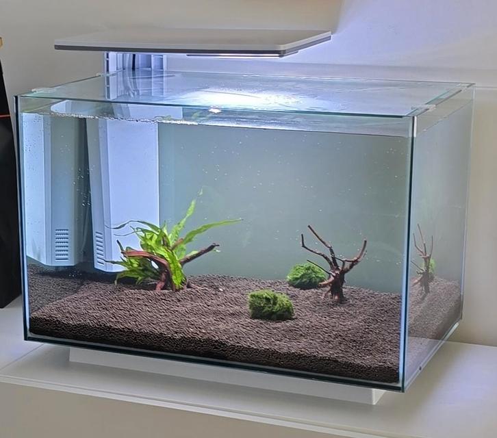 Aquarium SuperFish quadro 70 pro met rondomatic 400, Dieren en Toebehoren, Vissen | Aquaria en Toebehoren, Zo goed als nieuw, Leeg aquarium