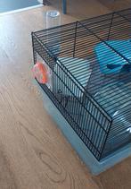 Hamsterkooi met accessoires, Dieren en Toebehoren, Knaagdieren en Konijnen | Hokken en Kooien, Hamster, Kooi, Gebruikt, Minder dan 75 cm