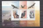 persoonlijke roofvogels deel3 Bos en heide, arend, havik,, Ophalen of Verzenden, Na 1940, Postfris