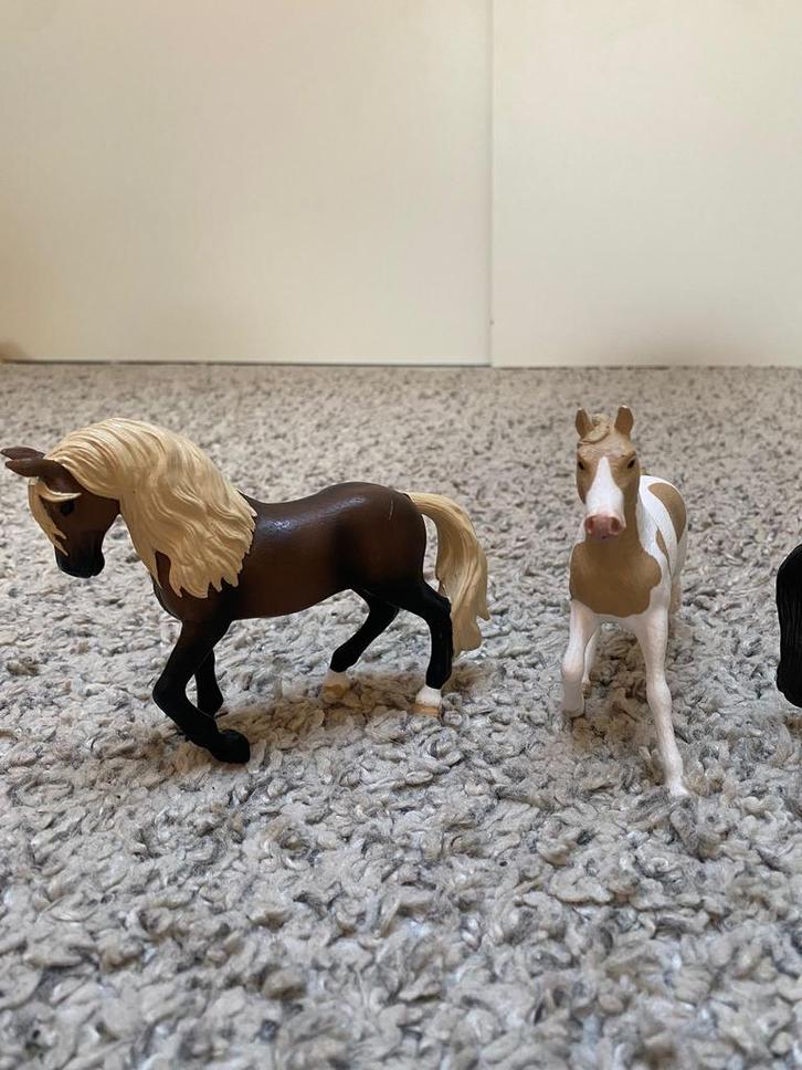 Grote Schleich verzameling - Manege, paarden, accessoires!, Kinderen en Baby's, Speelgoed | Overig, Gebruikt, Jongen of Meisje