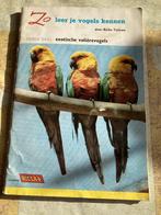 Zo leer je vogels kennen deel 3  ( Rizla), Ophalen of Verzenden, Gelezen, Rinke Tolman, Plaatjesalbum