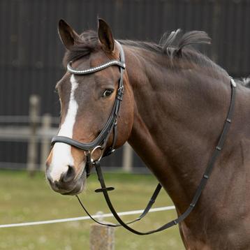 Harry's Horse Hoofdstel Anatomic Crystal, maat Full beschikbaar voor biedingen