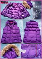 TOMMY HILFIGER paarse gilet met capuchon maat L_40, Maat 38/40 (M), Paars, Ophalen of Verzenden, Zo goed als nieuw