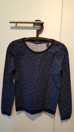 Maison scotch sweater panterprint, Blauw, Zo goed als nieuw, Maat 34 (XS) of kleiner, Maison Scotch