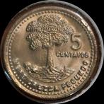 95# Guatemala 5 Centavos 1994 km276, Ophalen of Verzenden, Midden-Amerika