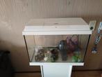 juwel primolux 60 Aqaurium met onderkast., Dieren en Toebehoren, Ophalen, Gebruikt, Verlichting of Verwarming