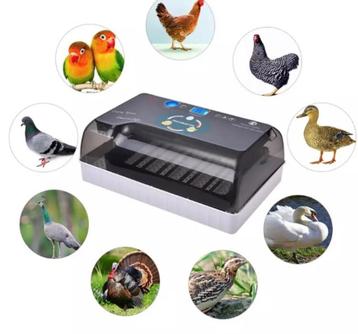 Broedmachine nieuw beschikbaar voor biedingen