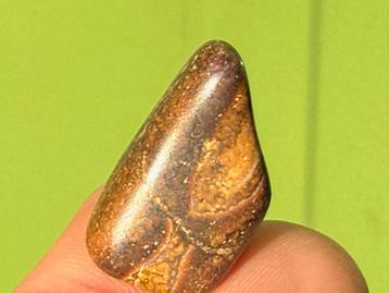 Yowah Opaal broekzaksteen mineralen beschikbaar voor biedingen