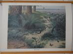vintage schoolplaat op canvas . Op de heide., Ophalen of Verzenden